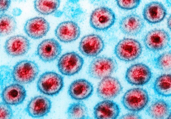 OMS parabeniza Brasil por fim da transmissão vertical do HIV