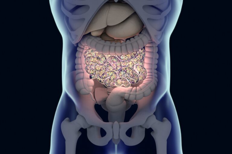 Substâncias químicas comuns podem afetar seu intestino