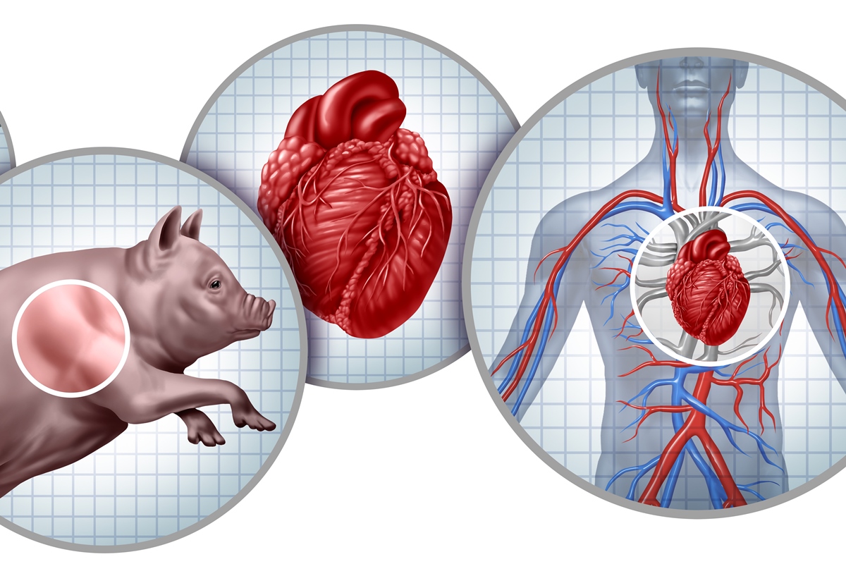 médicos dizem como técnica promissora avançou em 2025