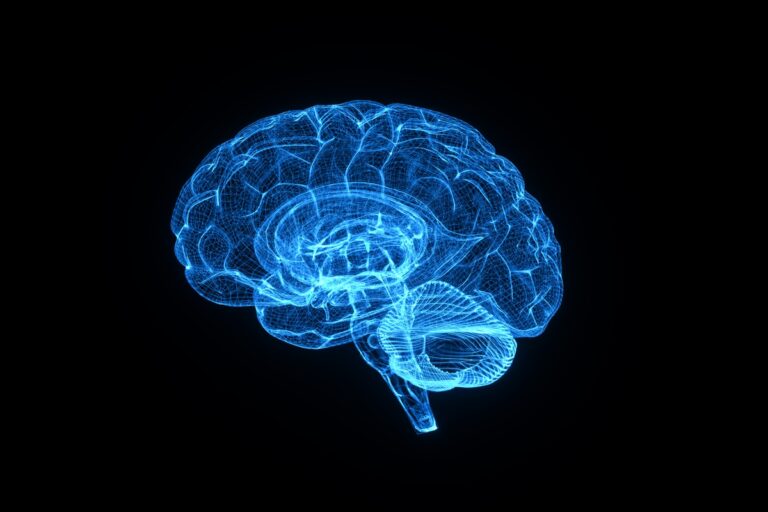 Bactérias intestinais podem afetar memória e ter ligação com Alzheimer