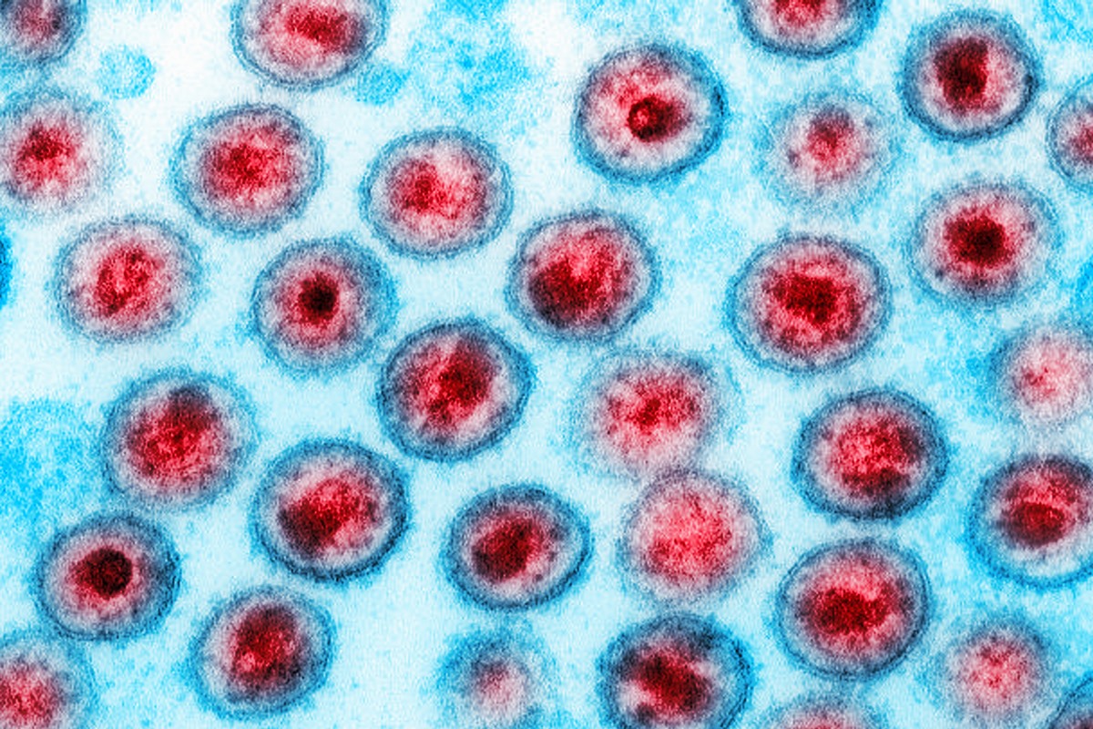 Injeção semestral contra HIV será testada pela Fiocruz em 7 cidades