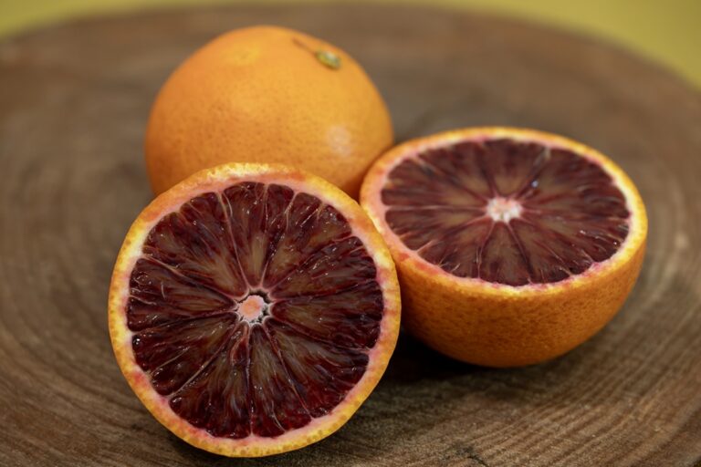 Laranja moro: nutri explica por que ela deveria ser sua nova favorita