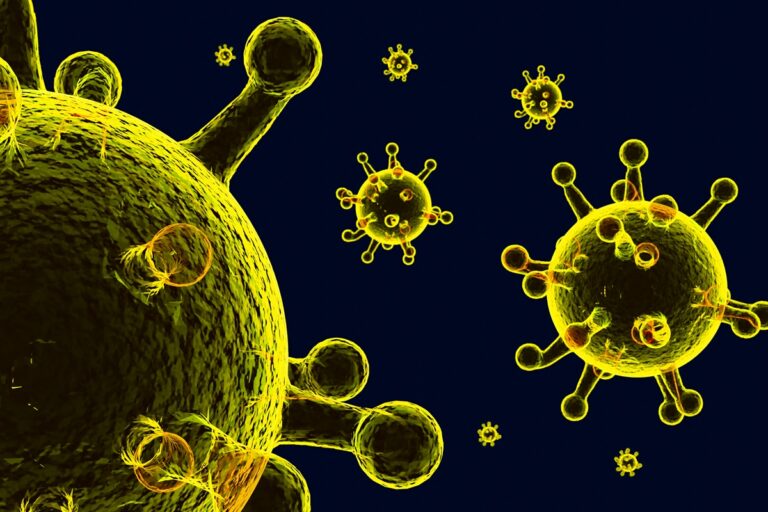 Opas alerta para circulação simultânea de vírus influenza e VSR