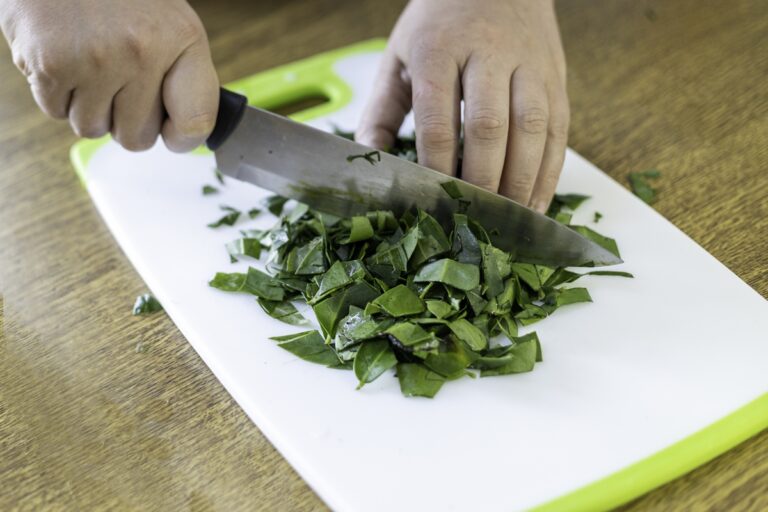 Ora-pro-nóbis: conheça os benefícios da planta para a saúde