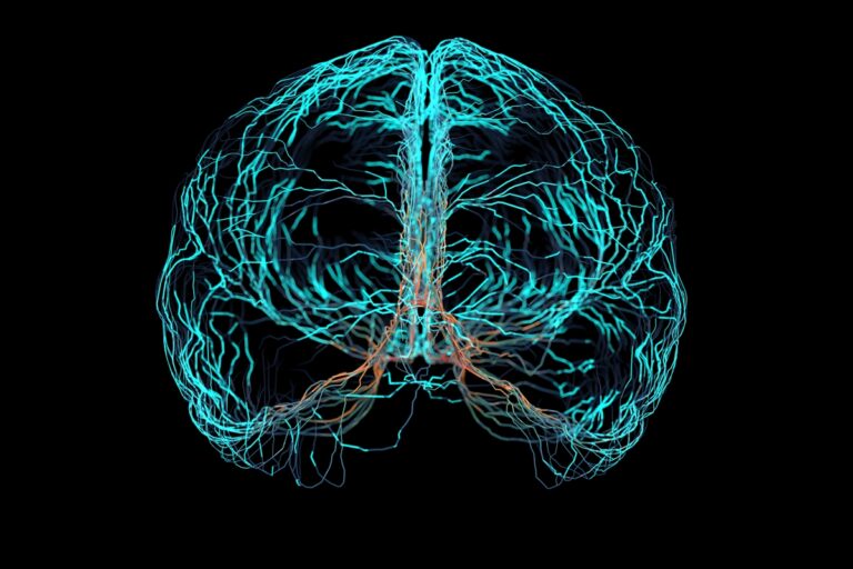 Prevenção da demência: saiba por que é importante começar antes dos 60