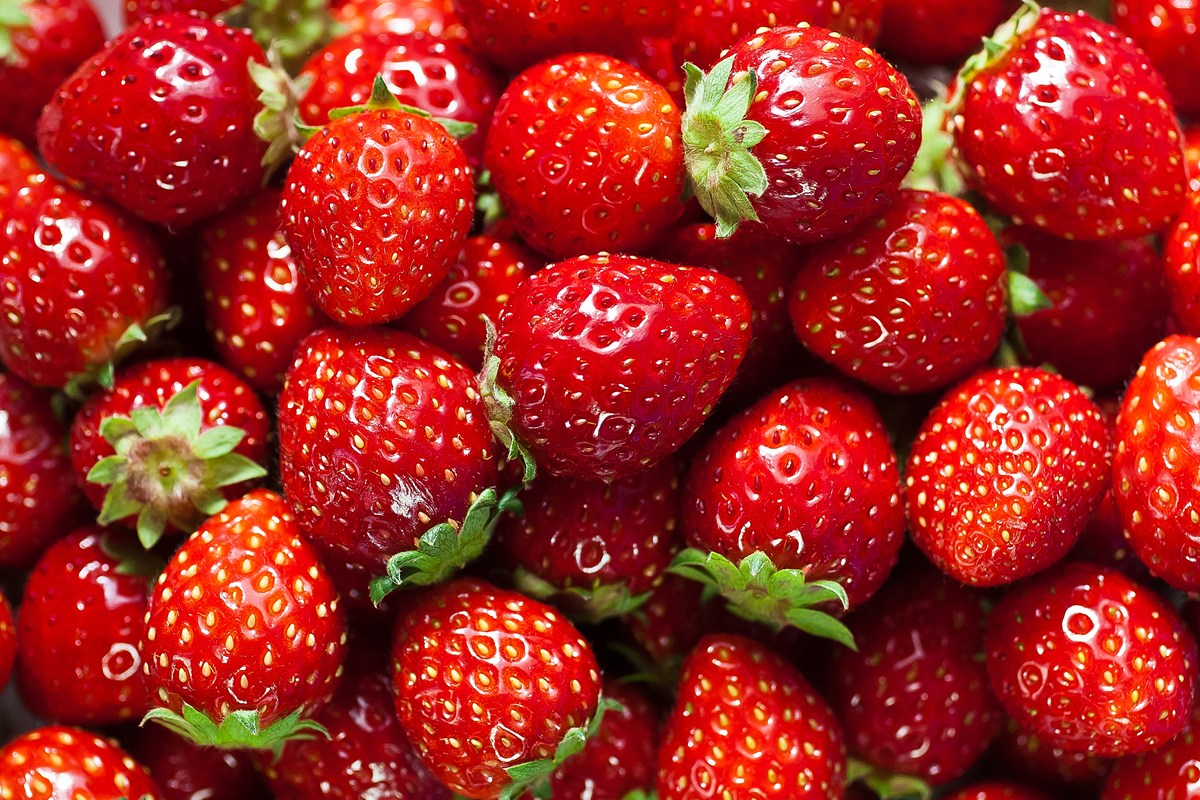 Quais são as vantagens de comer morango todos os dias