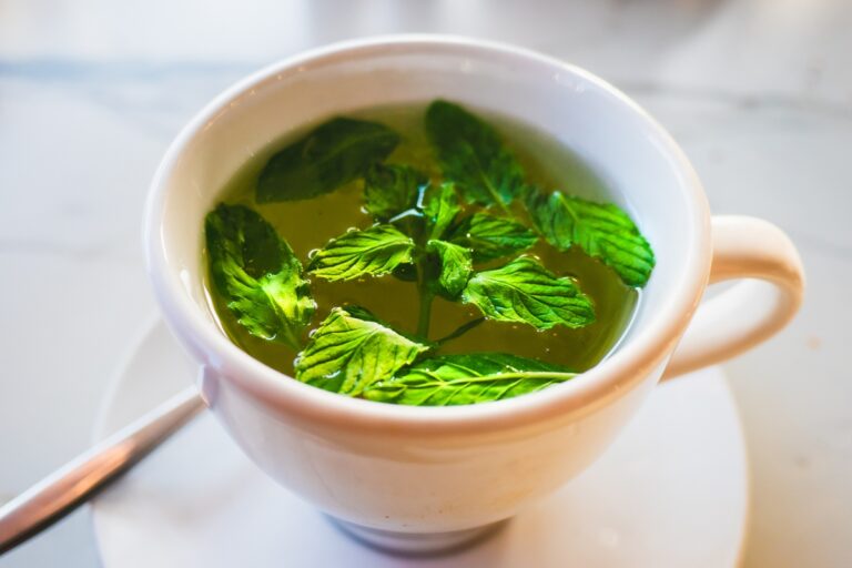 saiba como armazenar ervas secas e frescas e evitar mofo