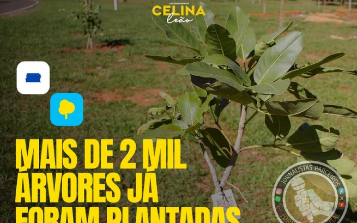 “Celina Leão Celebra Renascimento Ambiental: Parque da Cidade recebe mudas nativas do Cerrado”