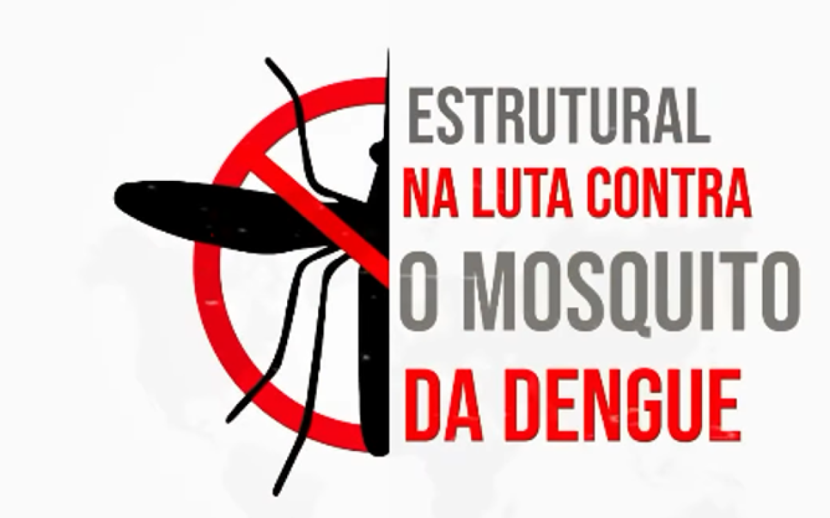 Mutirão na Cidade Estrutural: Limpeza Urbana e Prevenção Contra a Dengue