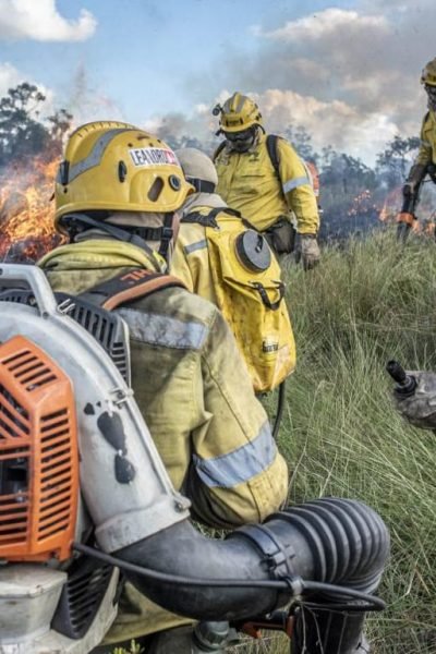 Fórum discute prevenção e combate a incêndios florestais