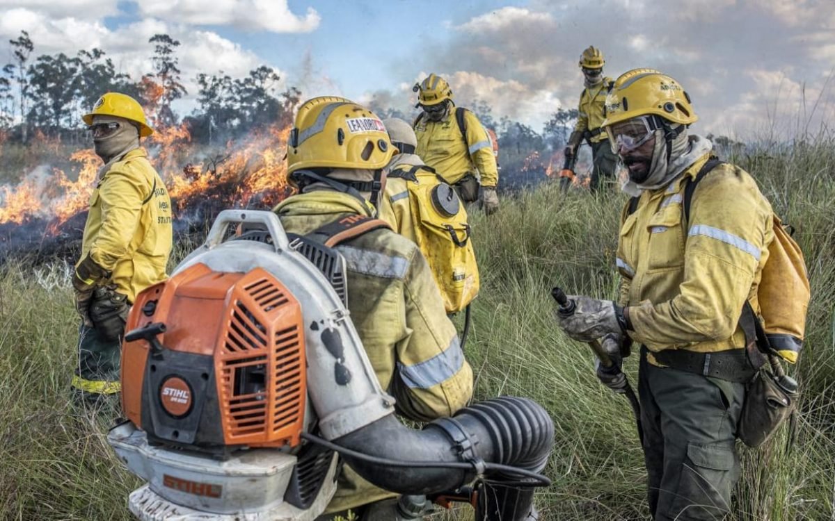 Fórum discute prevenção e combate a incêndios florestais